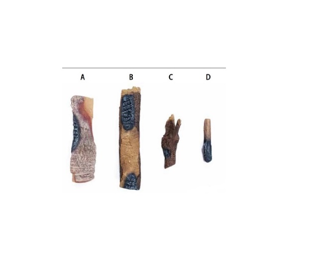 Dru Virtuo 80/2 houtset (liggende stammen)