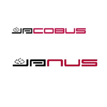 Jacobus - Janus houtkachel (onderdelen)