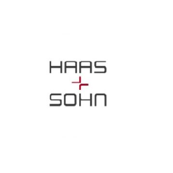 Binnenwerk Haas+Sohn houtkachel